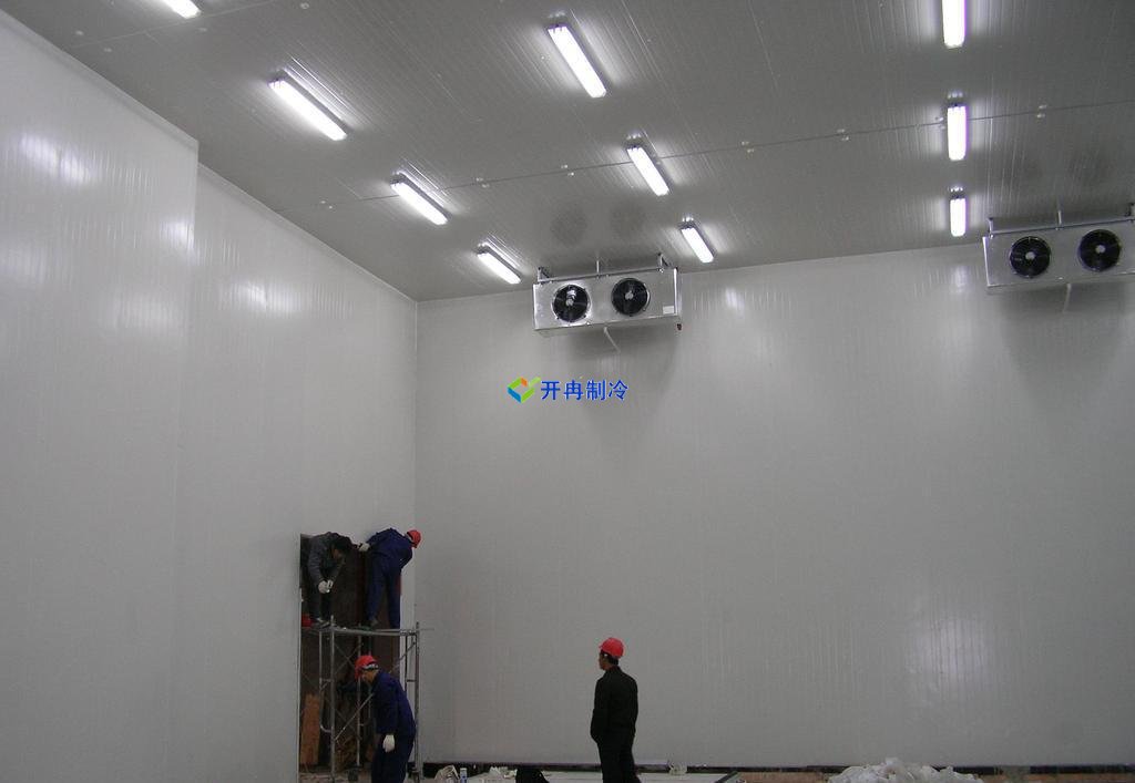 5000噸大蒜需建多大冷庫，冷庫造價多少錢