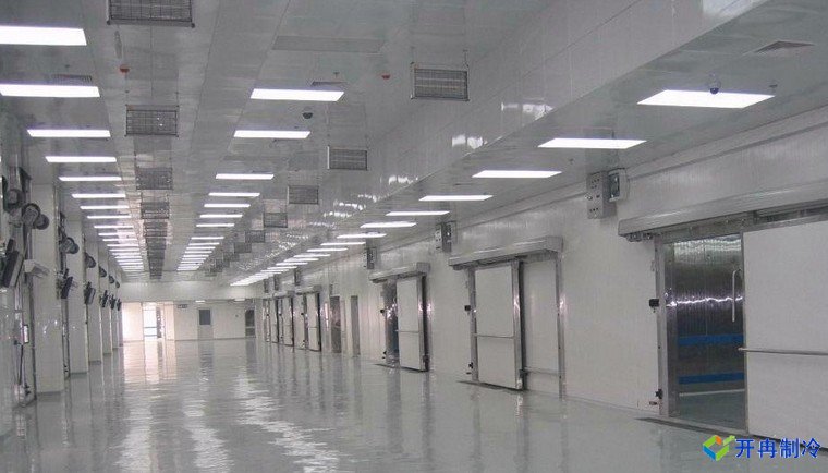 建造500噸帶魚低溫冷庫，海鮮冷凍庫報價